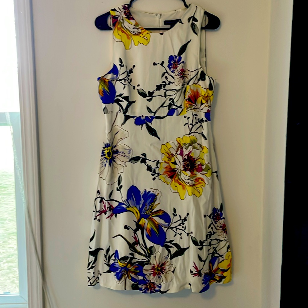 Banana Republic Floral Sleeveless Dress Size 6